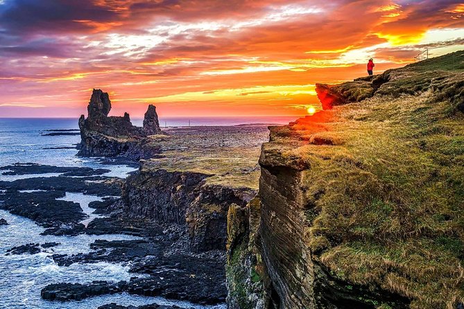 Snaefellsnes National Park and Natural Wonders from Reykjavik - Ytri Tunga: seals beside the golden beach