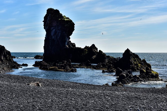 Snaefellsnes NP Small-Group Tour with Local Lunch from Reykjavik - Arnarstapi’s sea arches and bird-filled cliffs