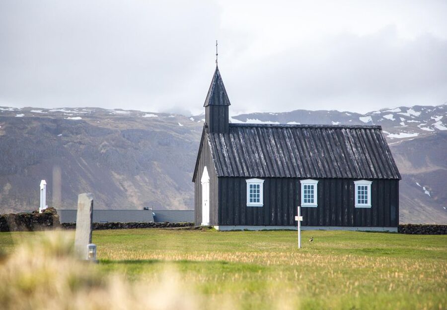 Snaefellsnes Peninsula and Kirkjufell Small-Group Tour - Ytri Tunga offers the day’s wildlife moment