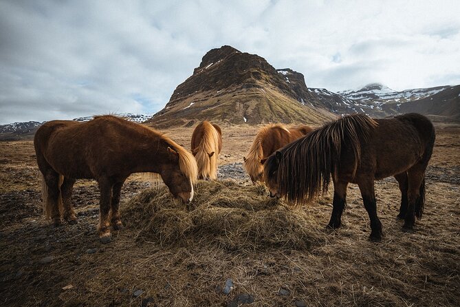 Snæfellsnes Peninsula | Private tour | PRO Photos included - Djúpalónssandur, black sand and old fishing traces