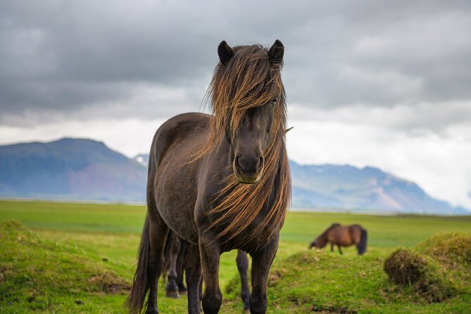 Snaefellsnes Peninsula Self-Guided Driving Audio Tour - Rauðfeldsgjá and Sönghellir: two short adventures