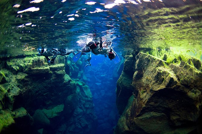 Snorkel the Silfra Fissure-Meet on Location (Free Photos & Cocoa) - What you actually see underwater