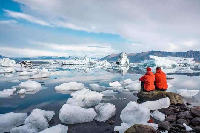 South Coast and Glacier Lagoon - Private - Reynisdrangar: sea stacks and birdlife