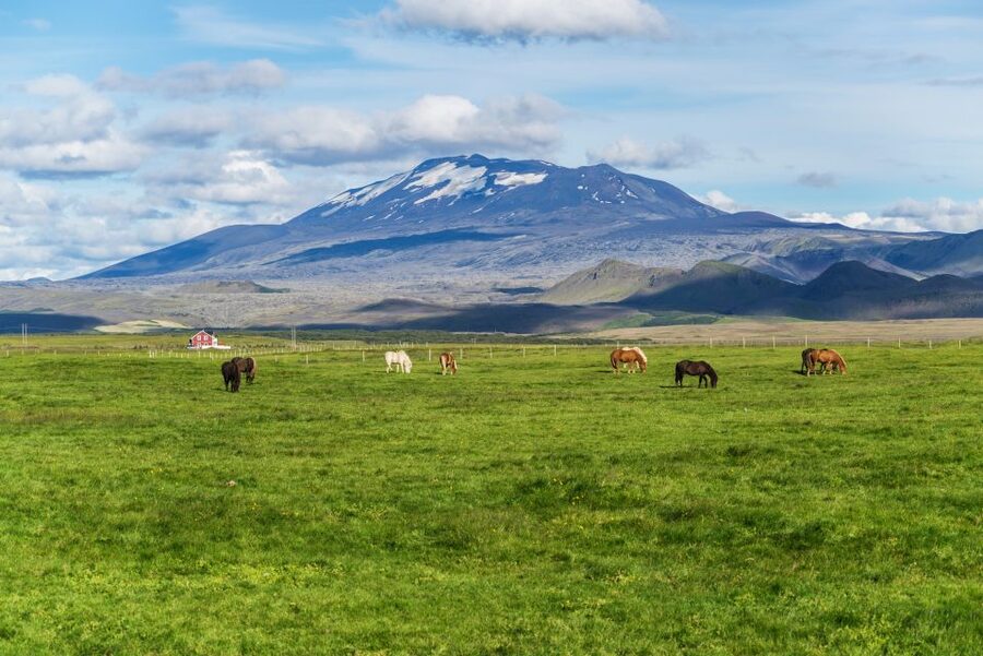 South Coast Classic: Full-Day Tour from Reykjavik - Key points before you book