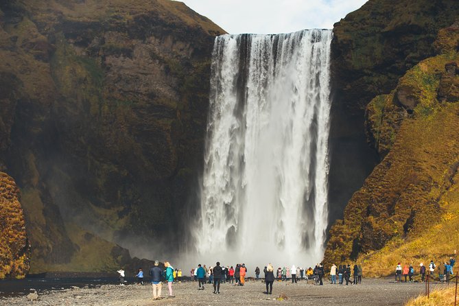 South Coast Day Tour Black Sand Beach & Waterfalls from Reykjavik - Guides, drivers, and the feel of the bus