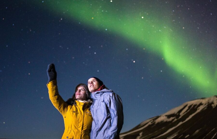 South Coast, Glacier Hike and Northern Lights Winter Tour - Reynisfjara’s Black Sand and Basalt Cliffs