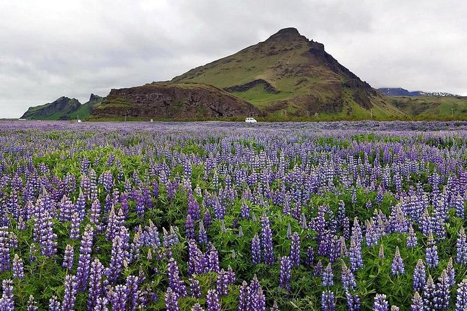 South Coast. Private Day Tour from Reykjavik - Skógafoss, with a view from below and above