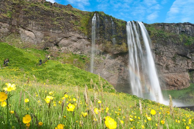 South Coast Sagas: Small Group Tour with Pick-up from Reykjavik - Sólheimajökull Glacier without a glacier hike
