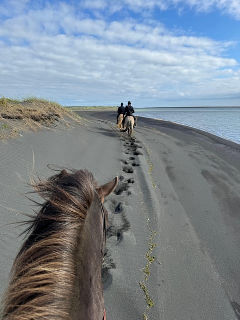 southern Iceland: Black beach riding tour - Riding across Southern Iceland’s black sand