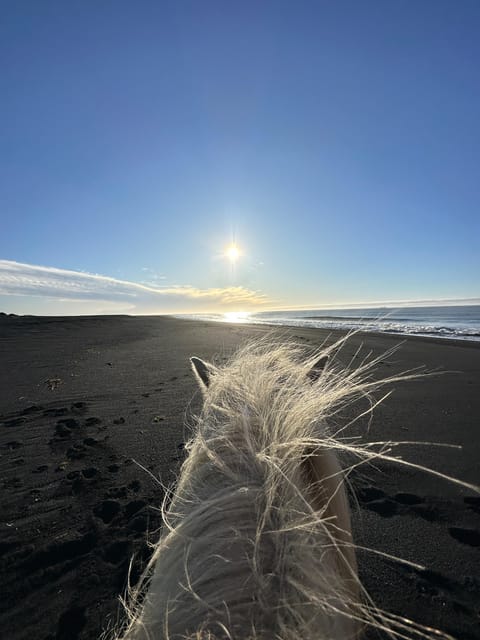 southern Iceland: Black beach riding tour - What the two-hour ride feels like