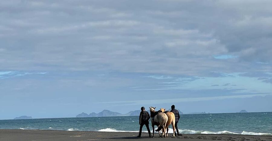 southern Iceland: Black beach riding tour - Guides, safety, and different riding levels