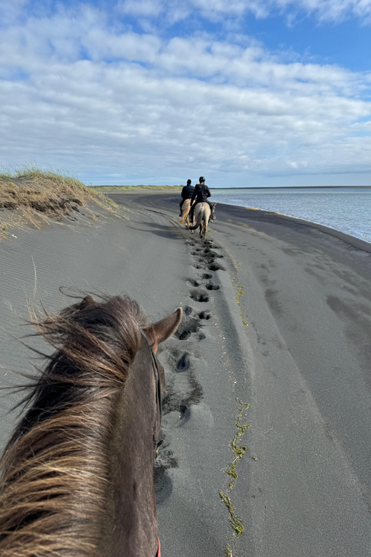 southern Iceland: Black beach riding tour - What to wear for a cold beach ride