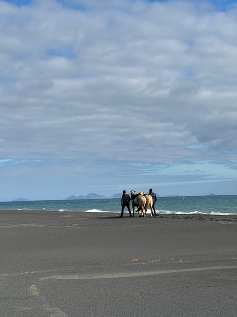 southern Iceland: Black beach riding tour - How the scenery compares with a standard South Coast stop