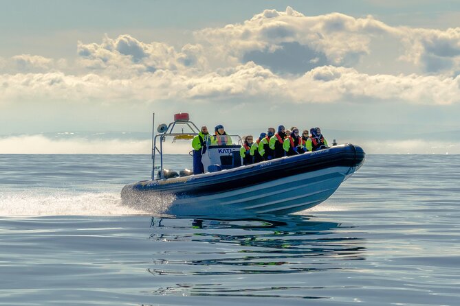 Speedboat Whale Watching Small-Group Tour in Reykjavik - Why the RIB changes whale watching in Reykjavik
