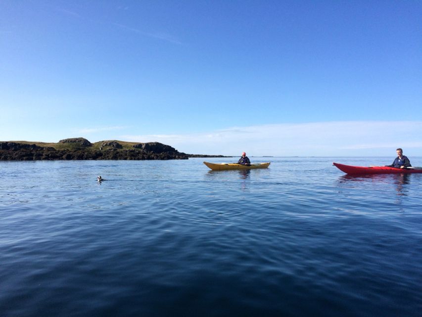 Stykkishólmur: 2-Hour Sea Kayak Tour - Key points to know before you paddle