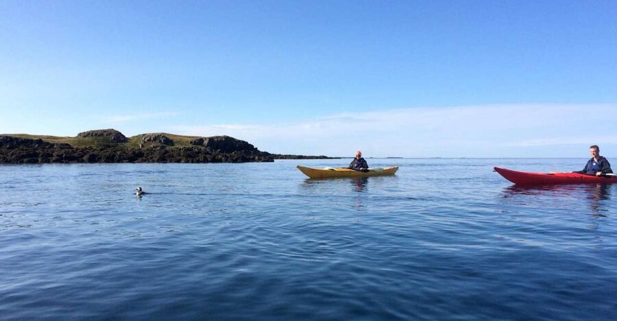 Stykkishólmur: 2-Hour Sea Kayak Tour - Why Stykkishólmur is the right place to kayak