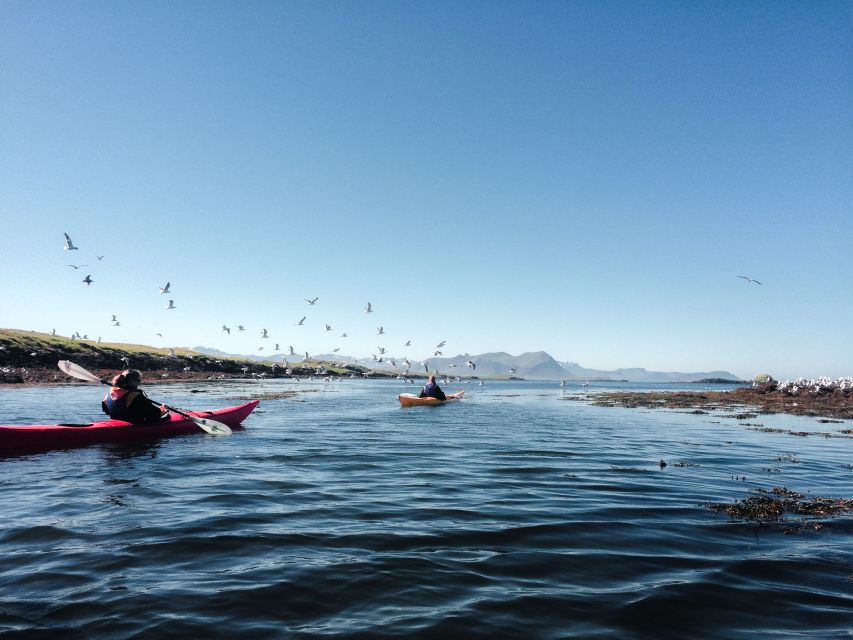 Stykkishólmur: 2-Hour Sea Kayak Tour - The first paddle toward Landey