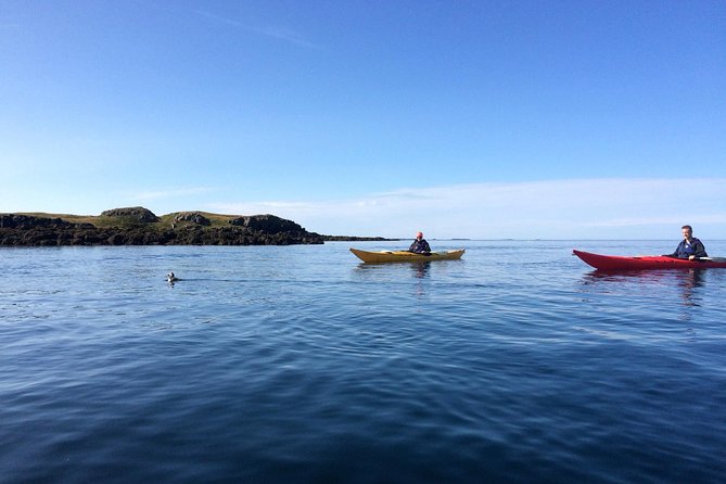 Stykkisholmur Sea kayak Day tour - Key points to know before booking
