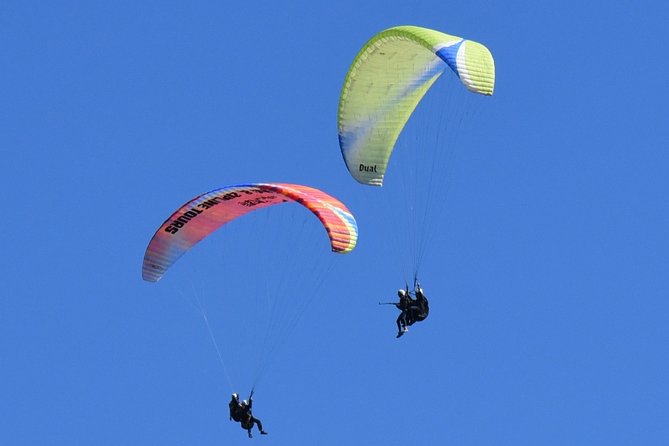 Tandem Paragliding Flights from Vik - Who will enjoy this flight most?