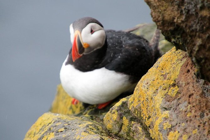 The Great Round Tour: Around Iceland in 13 Days - Days 3 and 4: waterfalls, sea cliffs, and ice