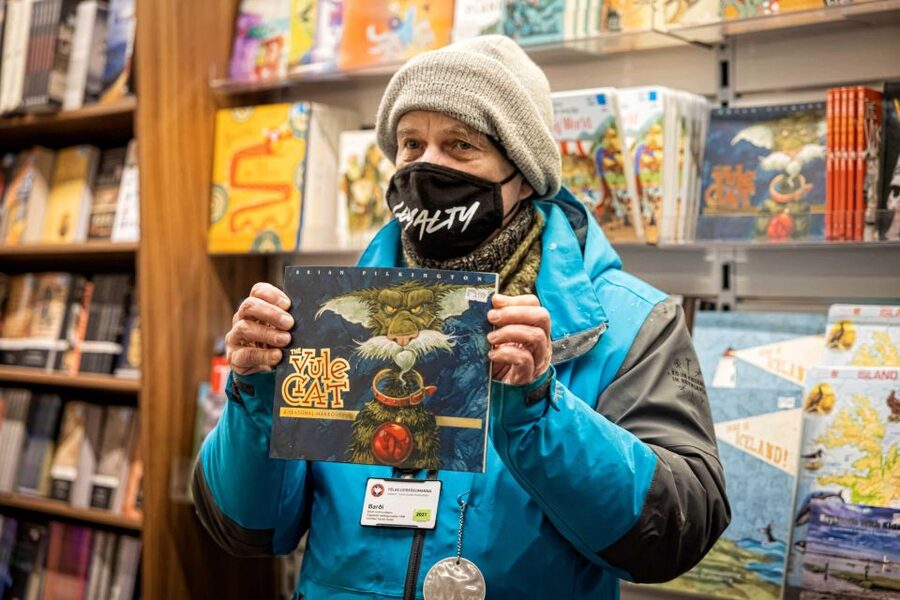The Private Reykjavik CatWalk - Key points to know before you book