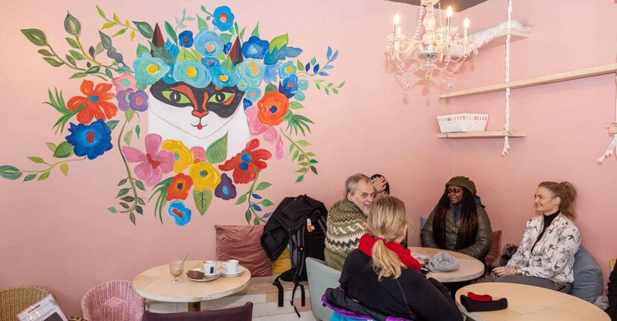 The Private Reykjavik CatWalk - Why Reykjavik’s cats make a good city theme
