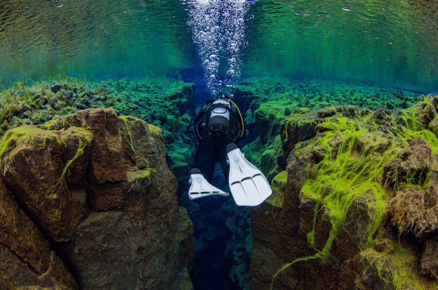 Thingvellir: Silfra Fissure Diving with Optional Pickup - The briefing and the role of the guide