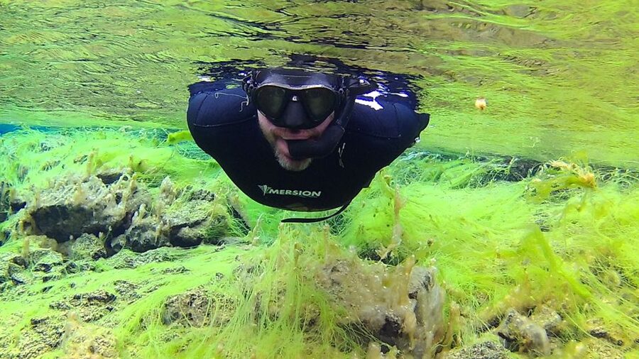 Thingvellir: Silfra Freedive Adevnture with a Guide - Meeting at Þingvellir P5 parking lot