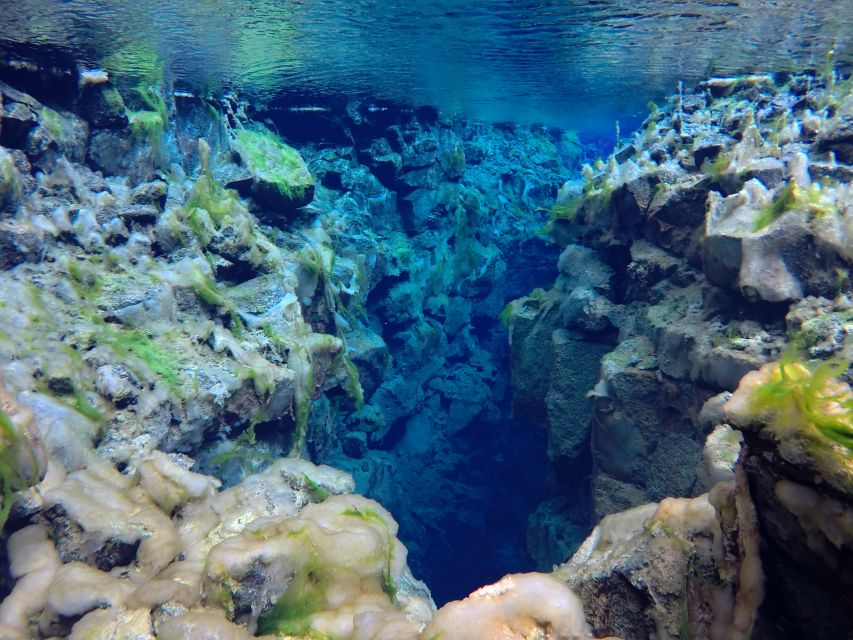 Thingvellir: Silfra Freedive Adevnture with a Guide - What the small group changes
