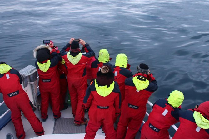 Two-In-One: Whale & Puffin Watching Tours from Reykjavik - Comfort, group size, and family details