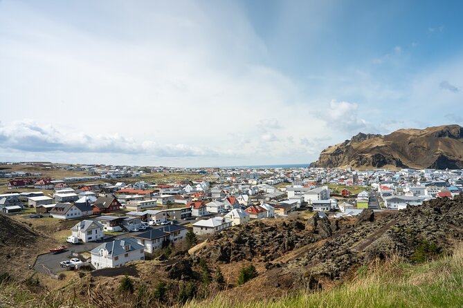 Vestmannaeyjar, Puffins & Volcanoes Small Group Day Tour - Key points about the Heimaey day trip