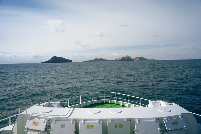 Vestmannaeyjar, Puffins & Volcanoes Small Group Day Tour - Why Heimaey makes such a strong day from Reykjavik