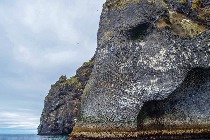 Westman Islands, Volcanoes and Puffins Small Group Tour - Why Heimaey makes such a strong day trip