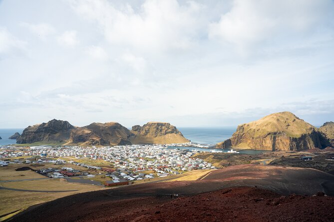 Westman Islands, Volcanoes and Puffins Small Group Tour - Puffin watching in real conditions