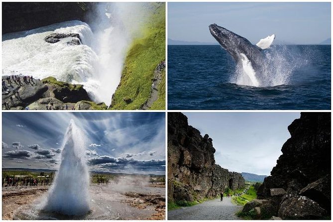 Whale Watching and Golden Circle Tour from Reykjavik - The guide, the bus, and the pace