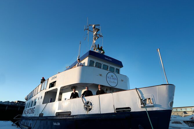 Whale Watching and Marine Life Tour in Reykjavik - Watching humpbacks, minkes, and dolphins