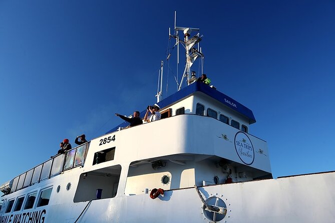 Whale Watching and Marine Life Tour in Reykjavik - Who will enjoy this Reykjavik boat trip?