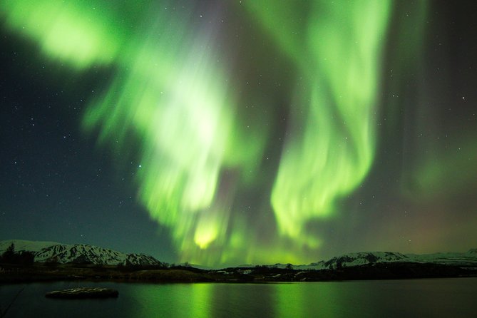 Whale Watching and Northern Lights Half-Day Combo Tour - Daylight whale watching in Faxaflói Bay