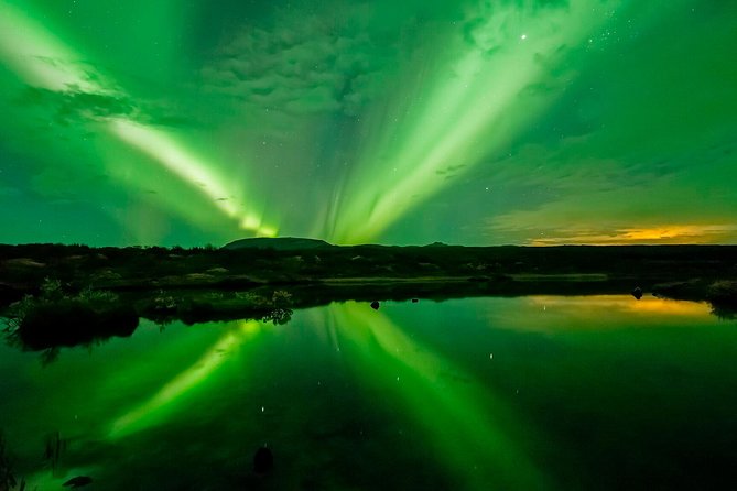 Whale Watching and Northern Lights Half-Day Combo Tour - Who will enjoy this combo most