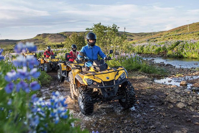 Whale Watching & ATV Adventure from Reykjavik - Moving from dirt tracks to Faxaflói Bay