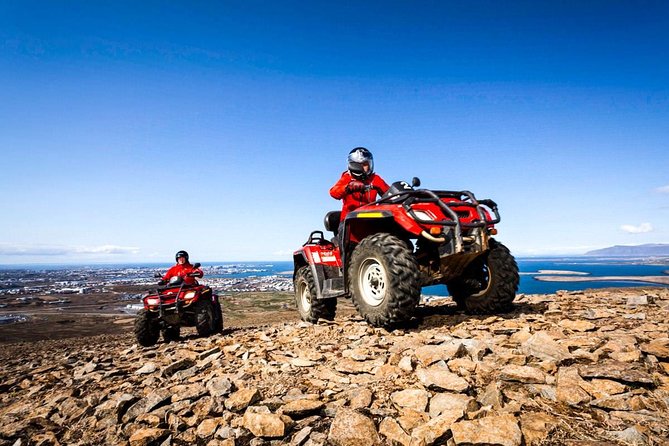 Whale Watching & ATV Adventure from Reykjavik - Watching for whales, dolphins, and puffins