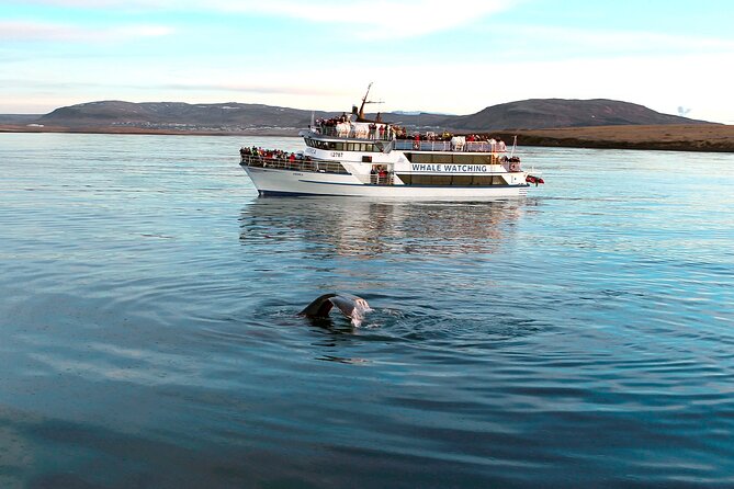 Whale-Watching Boat Tour with Expert Guide from Reykjavik - Rough water, seasickness, and weather calls