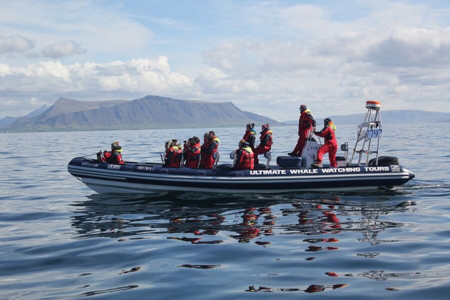Whale Watching in Reykjavik by Speedboat - Rough weather and personal comfort