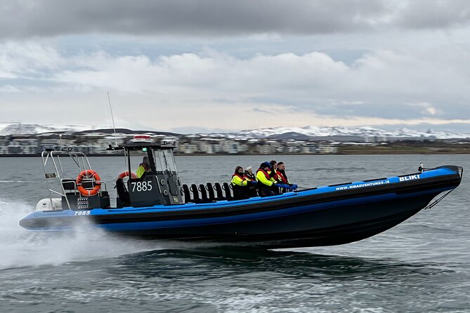 Whale Watching - RIB Boat Adventure in Kopavogur, Iceland - An hour of whale and dolphin watching
