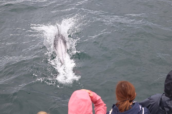 Whale Watching Tour with Professional Guide from Reykjavik - Leaving Reykjavik’s Old Harbour for Faxaflói Bay