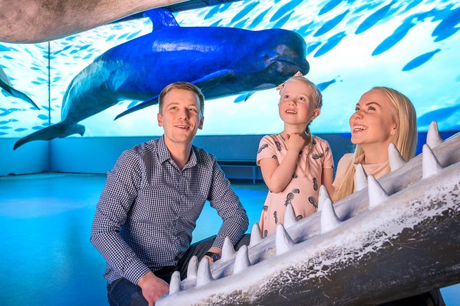 Whales Of Iceland Admission Ticket - A good rainy-day stop in Reykjavik