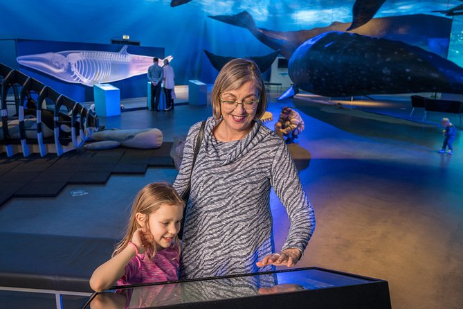 Whales Of Iceland Admission Ticket - Is $34.84 good value?