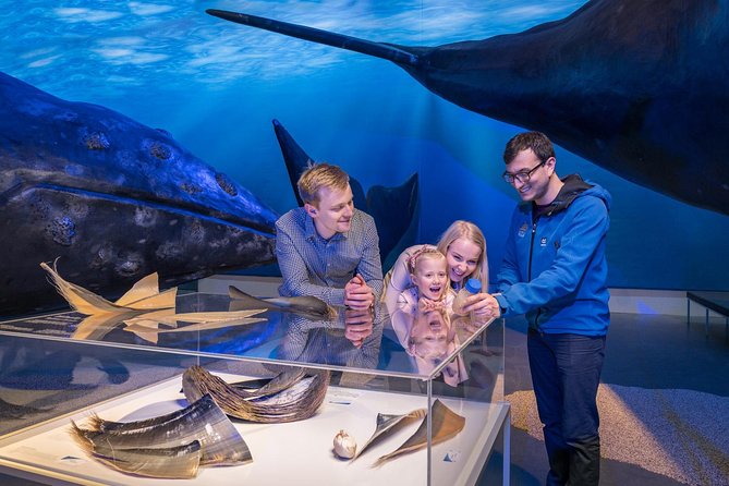 Whales of Iceland from Land and Sea - What the boat feels like in real use