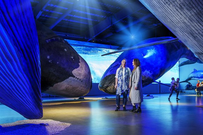 Whales of Iceland from Land and Sea - How good is the value at $120.15?