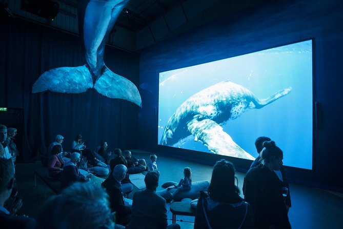Whales of Iceland from Land and Sea - Who will enjoy this experience most